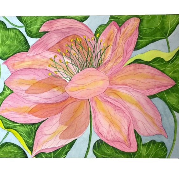 PAINTING WATERCOLOR ORIGINAL ART FLOWER LOTUS PINK CORAL ORANGE 11X14 MAT 16X20 - Picture 1 of 3